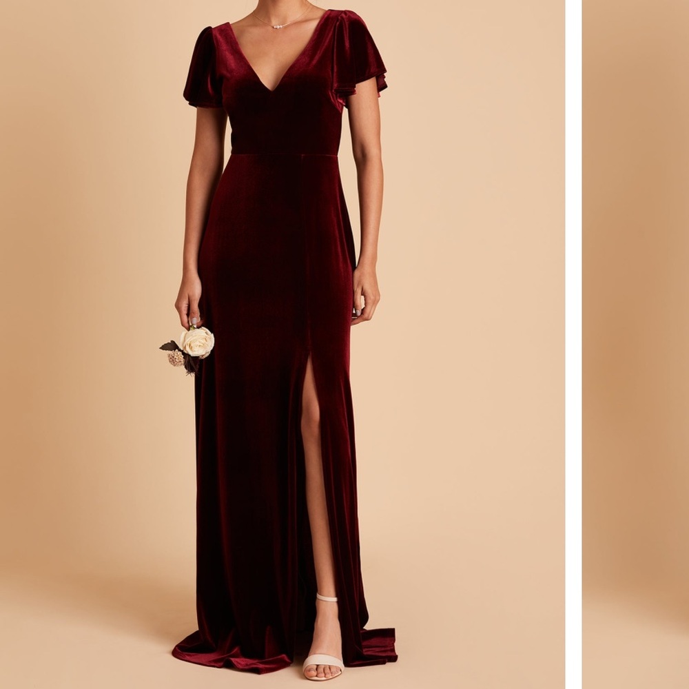 NWT Birdy Grey Velvet Hannah Dress in Cabernet